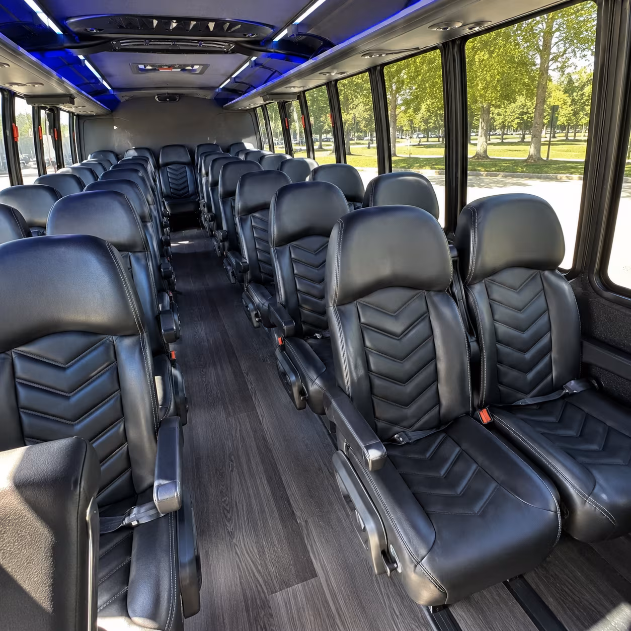 bachelor and bachelorette bus rentals across northern colorado